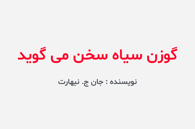 دانلود کتاب گوزن سیاه سخن می گوید